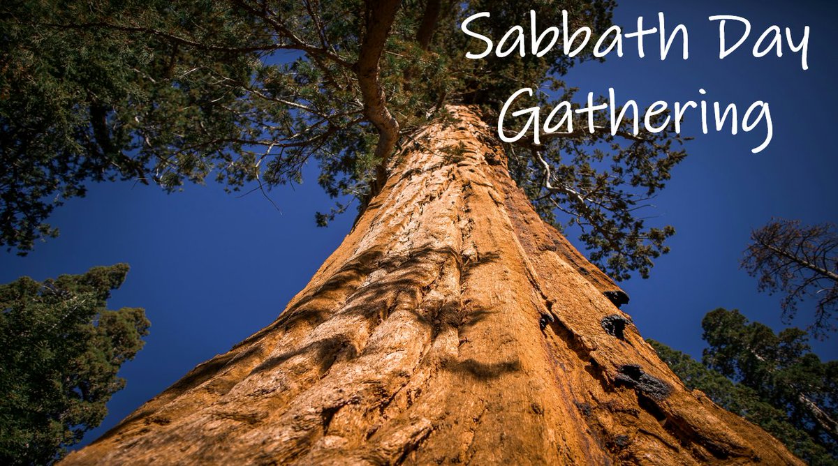 gaamadison's tweet photo. Happy Sabbath Day!

Today, we guard the sign between Father יהוה {YAHUAH} ALMIGHTY and His people!
*Exodus 31:12-14*
 
Join @gaamadison tomorrow (5.30.2026) for Sabbath Day service @ 10:30 am CST! Message me for the Zoom link.

#HalleluYAH! #SabbathDay! #DayNumberSeven! https://t.co/wRvplIugdw