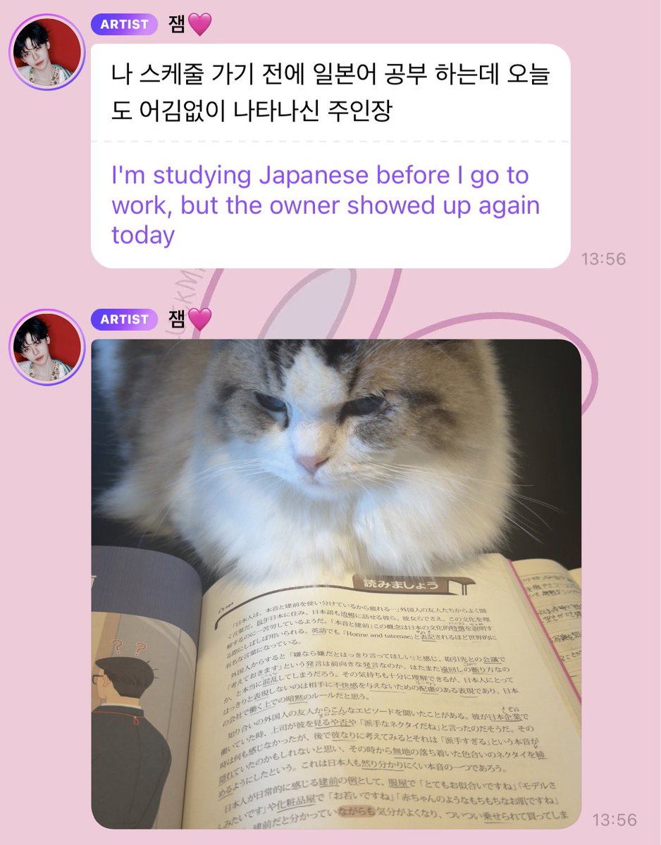 jaeminners's tweet photo. jaemin bbl! 💬

NOT AT LUNA BEING MAD AGAIN AT HIM??? 😭🫶🏻 https://t.co/Tx7uluxCFF