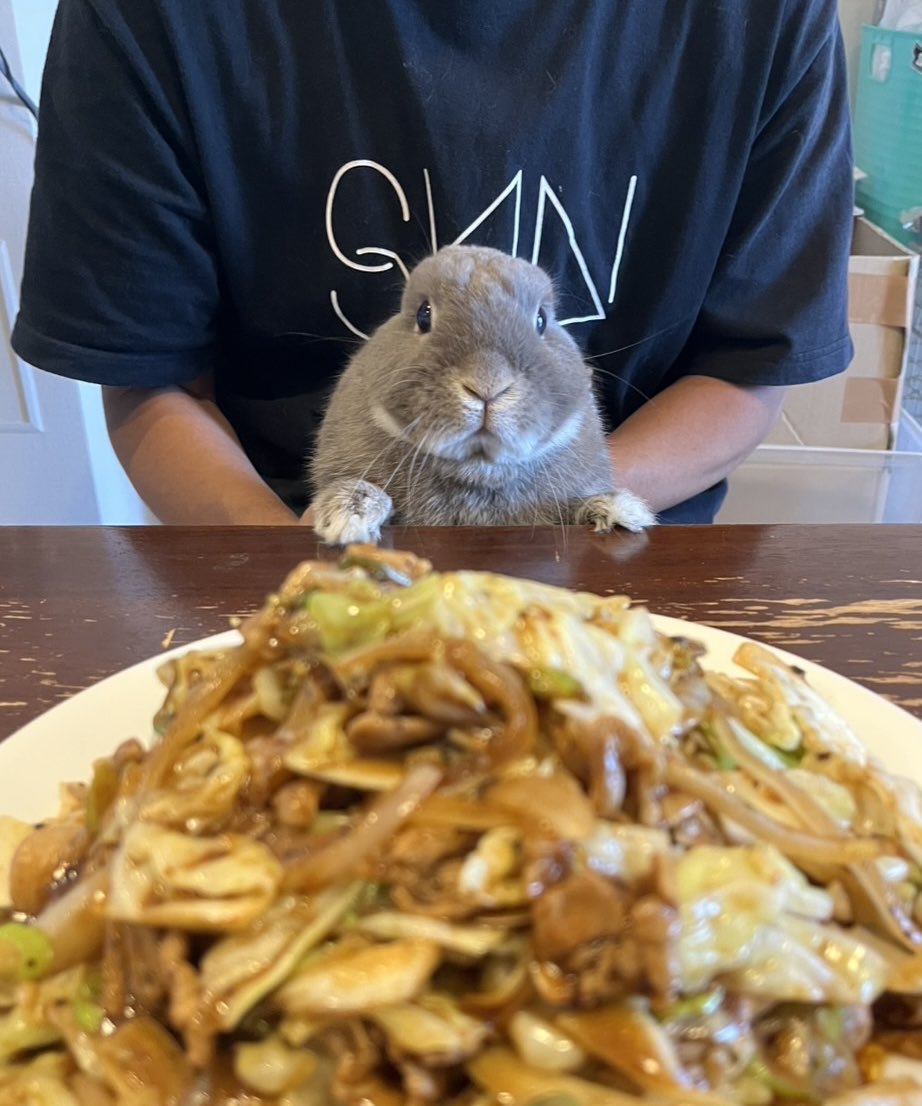 ぴん君&たぬちゃん tweet media