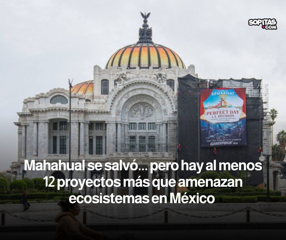 Sopitas tweet media
