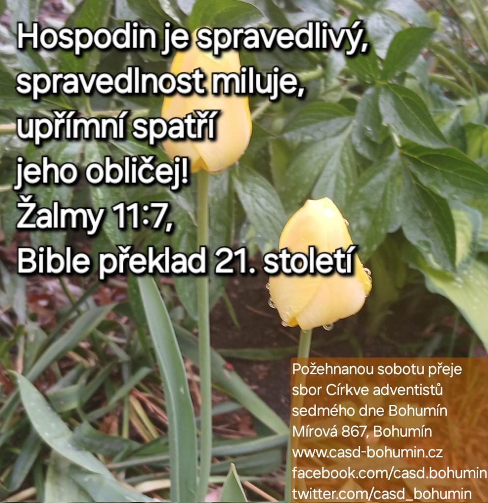 CASD_Bohumin's tweet photo. Přejeme požehnaný Sobotní den pod Božím vedením i ochranou.
Kéž je tento den pro vás naplňující pokojem a radostí.
#Sabbath #Sobota #PozehnanySabbath #PozehnanaSobota
#Bohumin #CASD #Adventist #Církev #Faith #Czech #Cesko #Sedmy #Den #Moravskoslezsko #SDA #Ellen #Gould #White https://t.co/sZeB7rcR8z
