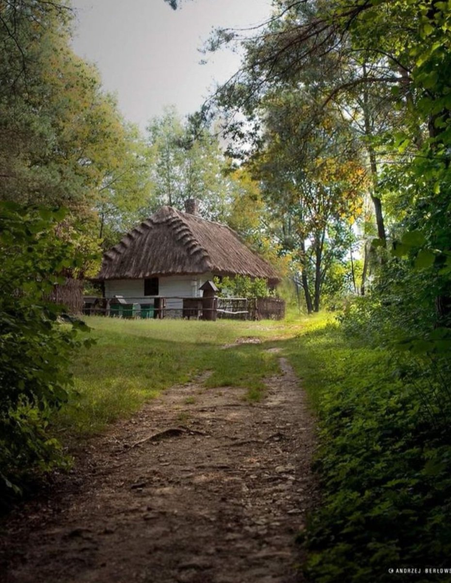 Nataliy94087733's tweet photo. Якби не розпочався цей наш день: з дощу чи сонця, головне, що він розпочався і ми в ньому, як то кажуть, живі та здорові, а там вже що буде те й буде...
Раночку, шановні !
І щоб повиздихалавсякац@пня ! https://t.co/k4AMJpvc27