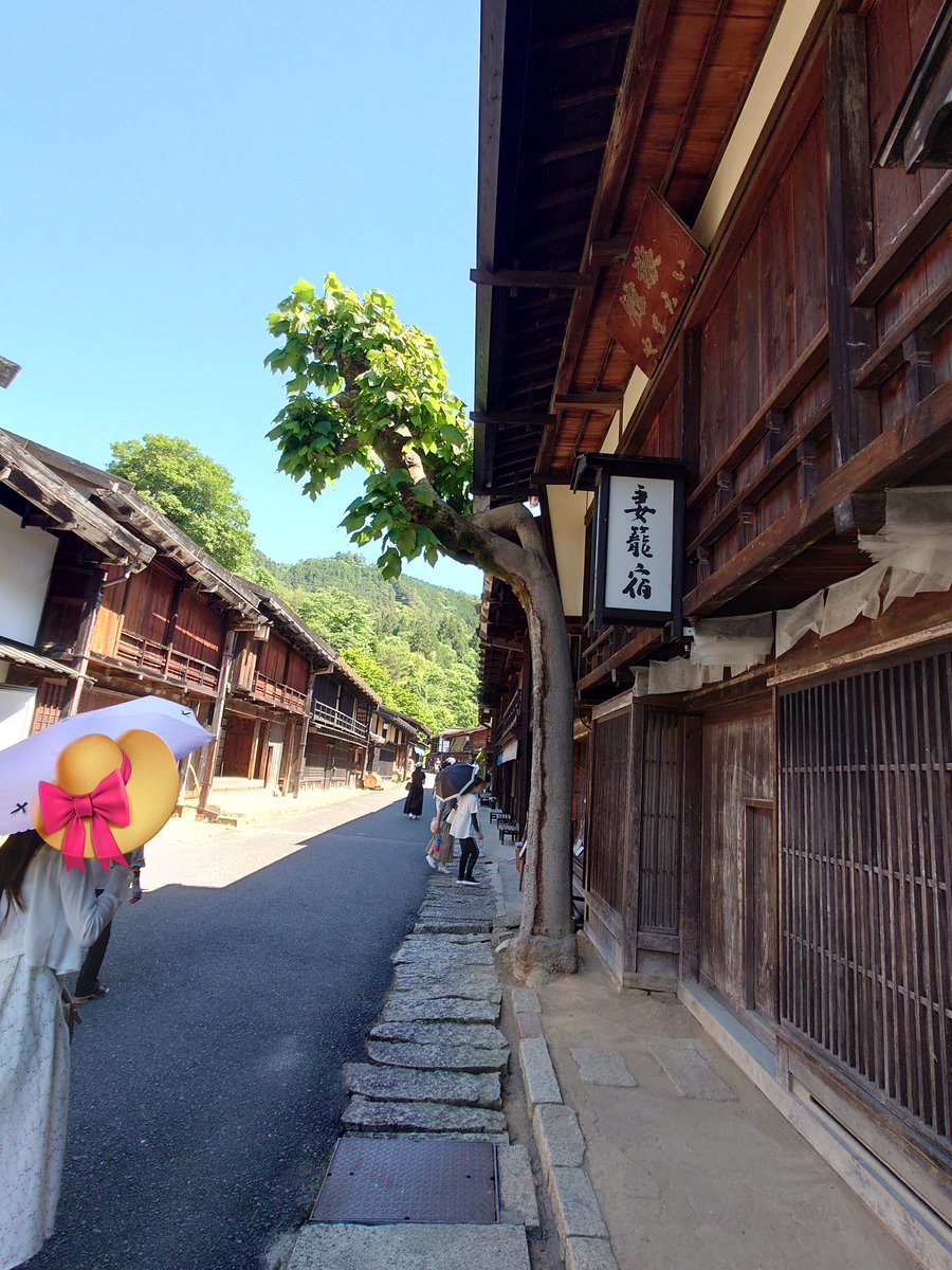 ginchangh1's tweet photo. 腹ごなしに歩いて、歩いて、歩いてまいります。 https://t.co/g7L4wxKjjV