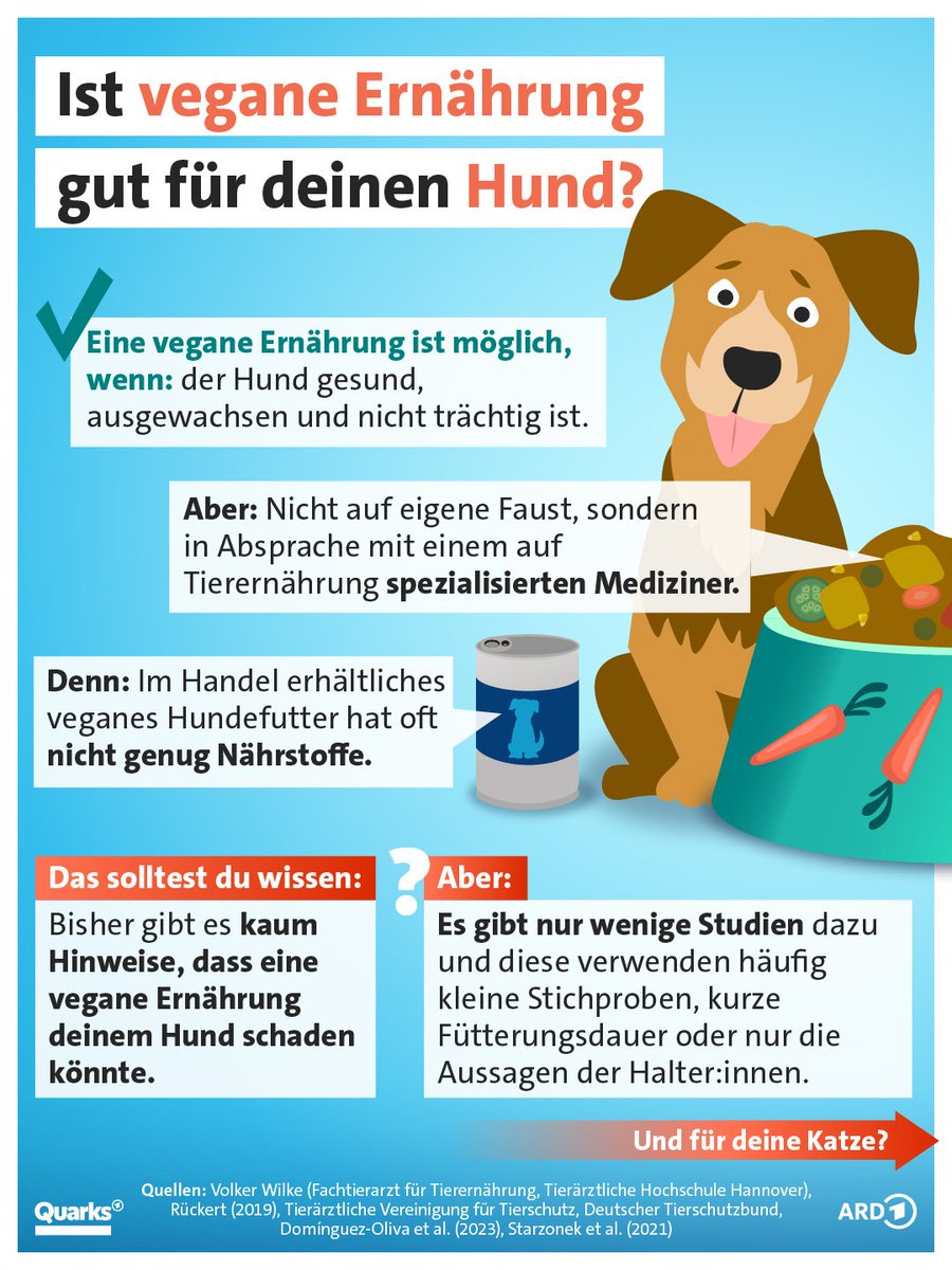 Liberty Hannes tweet media