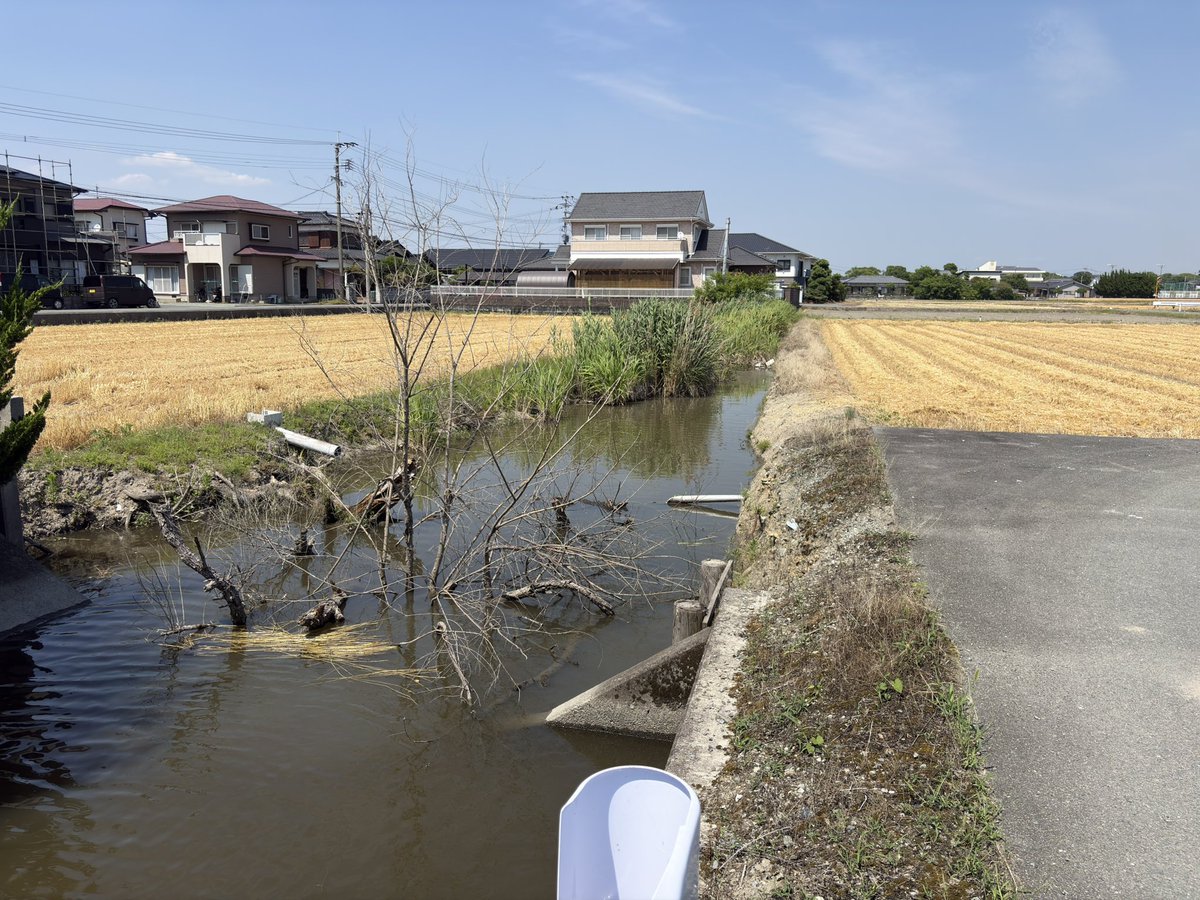 dm3ZcR4vvEEP8HP's tweet photo. 110地点での採水スタート。
ヒナモロコ見つけるぞ〜 https://t.co/Gua96FyHxT