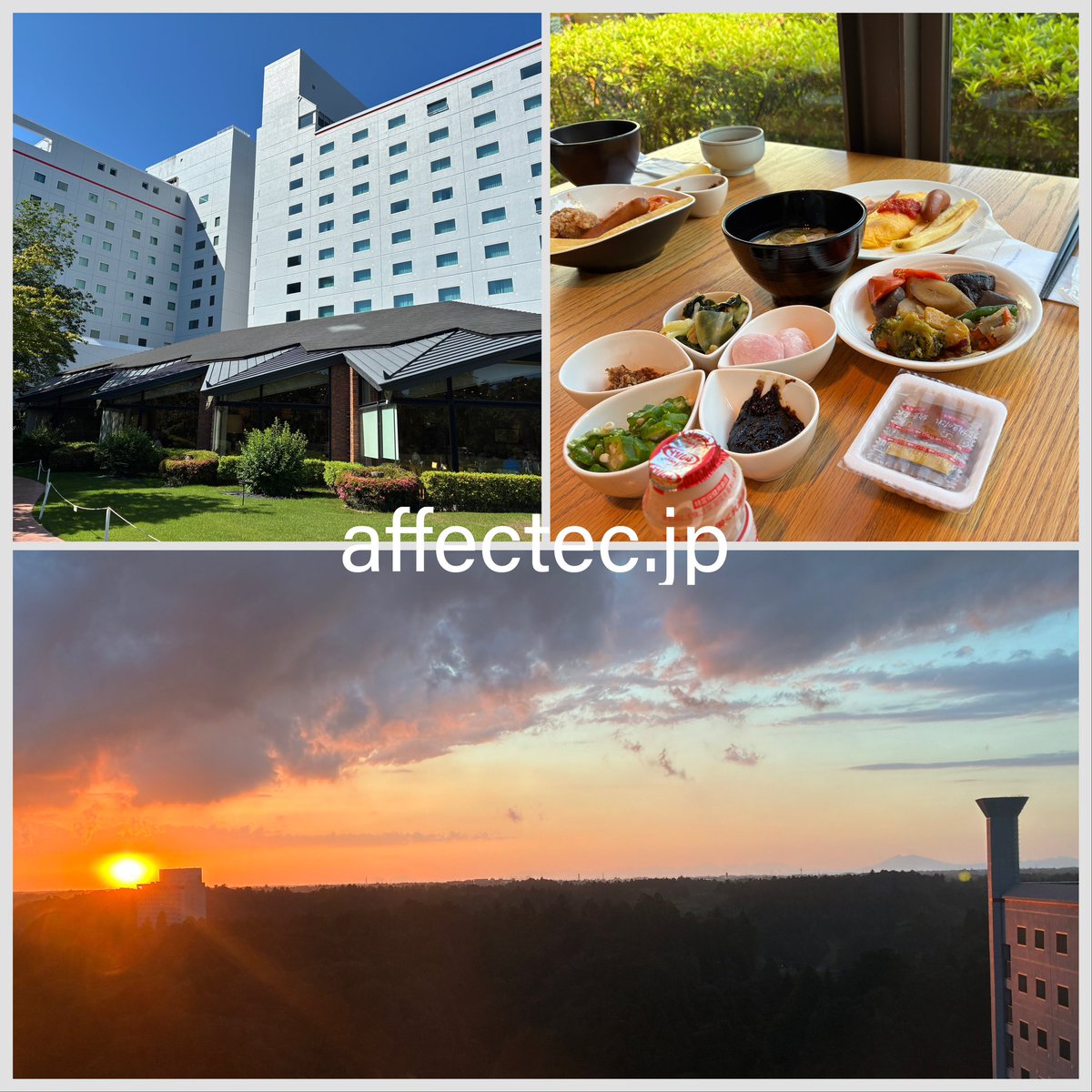 MANU_pokeGO's tweet photo. 帰国後はホテル日航成田に宿泊。「ほかけ鮨」からの夜景は筑波山が綺麗😊朝食は種類が多くてとても美味しい。ただシステムメンテナンス中にワンハーモニーの会員特典が変更されていました。特に駐車場14日間無料特典に対象外の期間がありますので要注意。#ワンハーモニー #OneHarmony #ホテル日航成田 https://t.co/pzWlHf0E8S