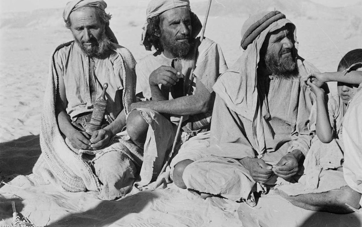 عبدالله ال موسى tweet media