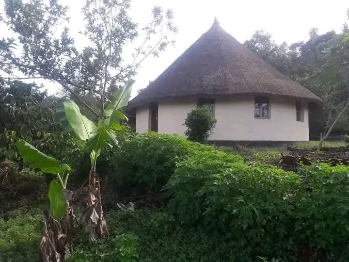 freemanvictor9's tweet photo. 6 and half acres of land on sale in Jinja City 6 Kilometers from the city center @85m per acre With a Free Hold Title.
FEATURES!
#Structures are on the Land. 
#Well Fenced with a Gate.
#pipe Water. 
#Electricity. 
#Good Road https://t.co/ZmLHSrKdYs +256707642895 https://t.co/djm02fm6Sg