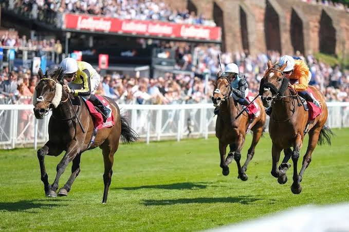 FinnDogTips's tweet photo. Saturday Tips Posted! 📝

⭕️ Carlisle 
⭕️ Chester
⭕️ Listowel 

https://t.co/S50RijjGCc https://t.co/G2NGsQ2bka