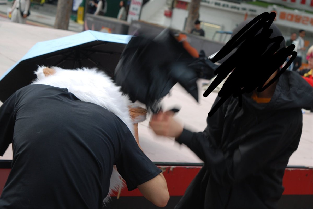 masaki tweet media