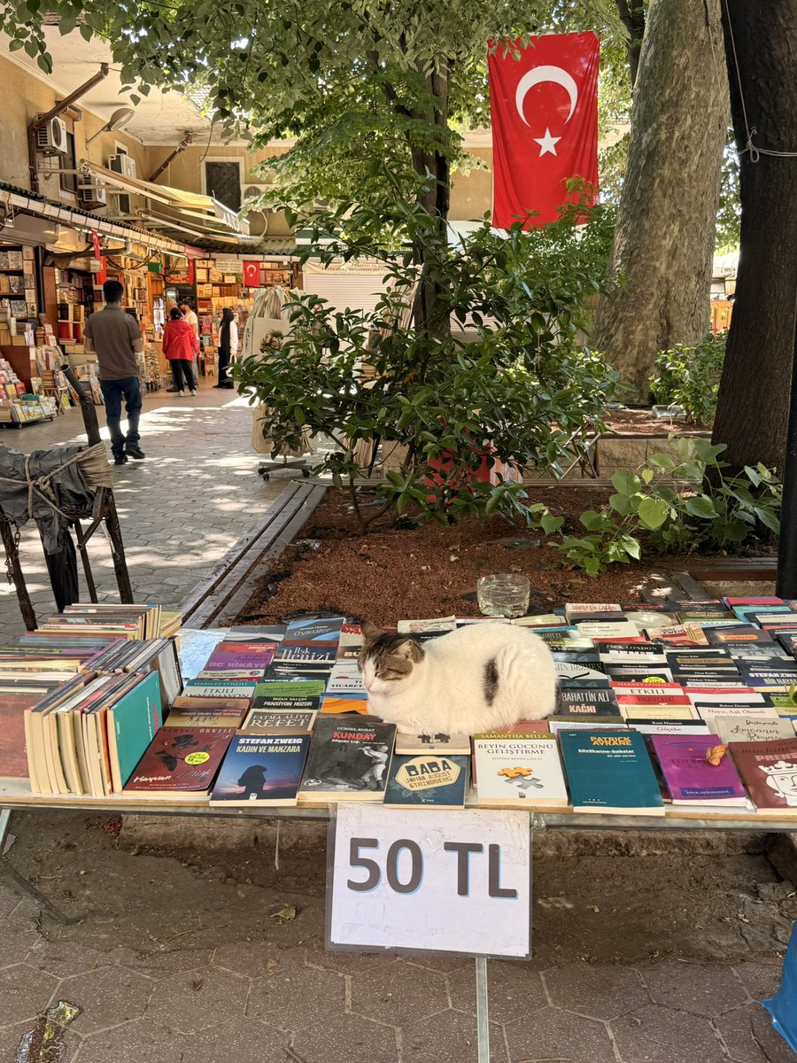 Duygu Yıldırım tweet media