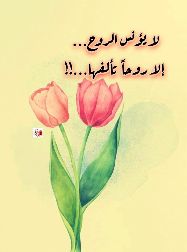 sms9194's tweet photo. @bebo_rasha احلى بيبو
كل عام وانتم بخير وسعاده وعيد اضحى مبارك عليكم 
ربنا يوفقك وينصرك ويسعدك ويفرحك ويسترك يارب العالمين 🌹🌹🌹 https://t.co/5uFP6wCbbA