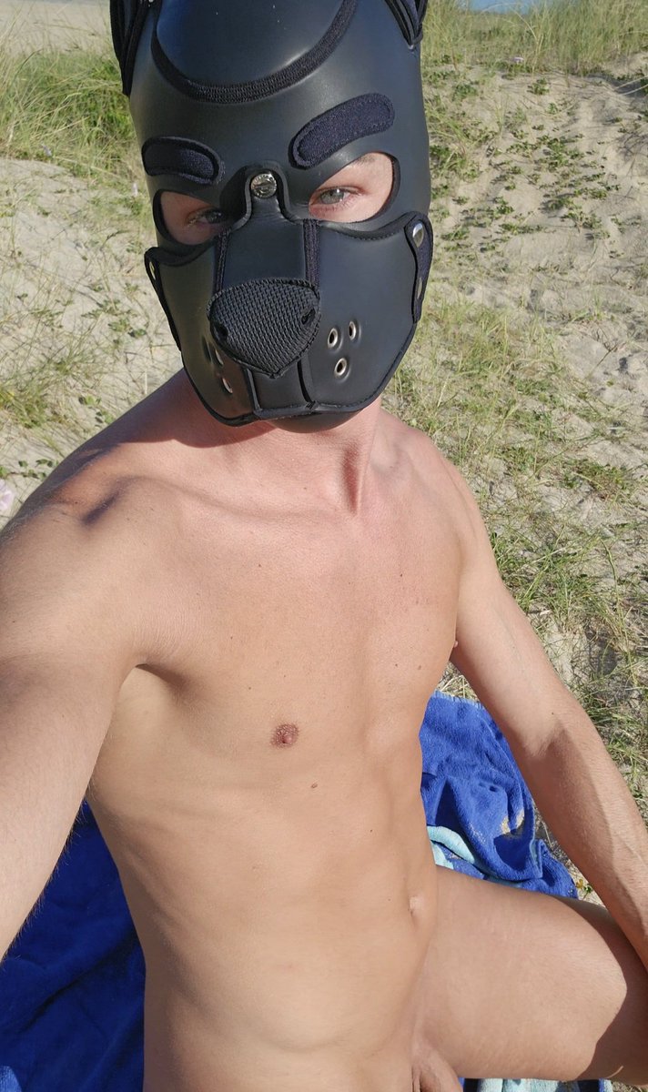 pupSlucky's tweet photo. Wruff👉👈 https://t.co/1RTp9GYTZZ