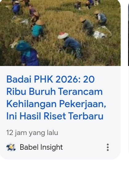 Andri178503's tweet photo. Semua yang di-PHK merupakan tumbal dari kebijakan fiskal jor jor joran program makan gratis 

Membuat investor tidak percaya berakibat biaya produksi meningkat dan tidak mungkin menaikan harga Krn daya beli melemah akibatnya perusahaan efesiensi dengan memPHK 

Bayangkan saja https://t.co/qIc85ED3sv