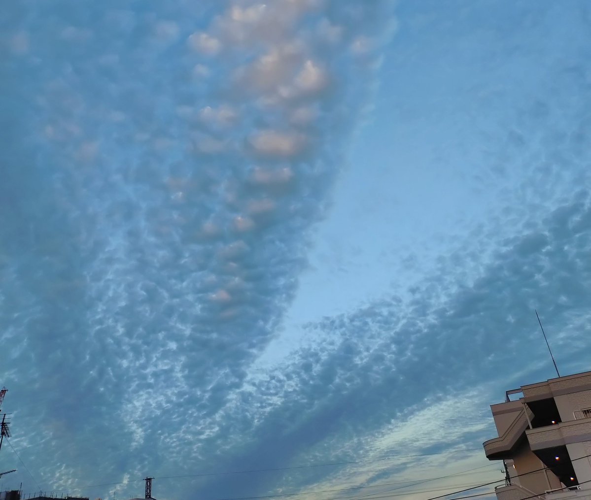 空🩵✩.*˚ tweet media