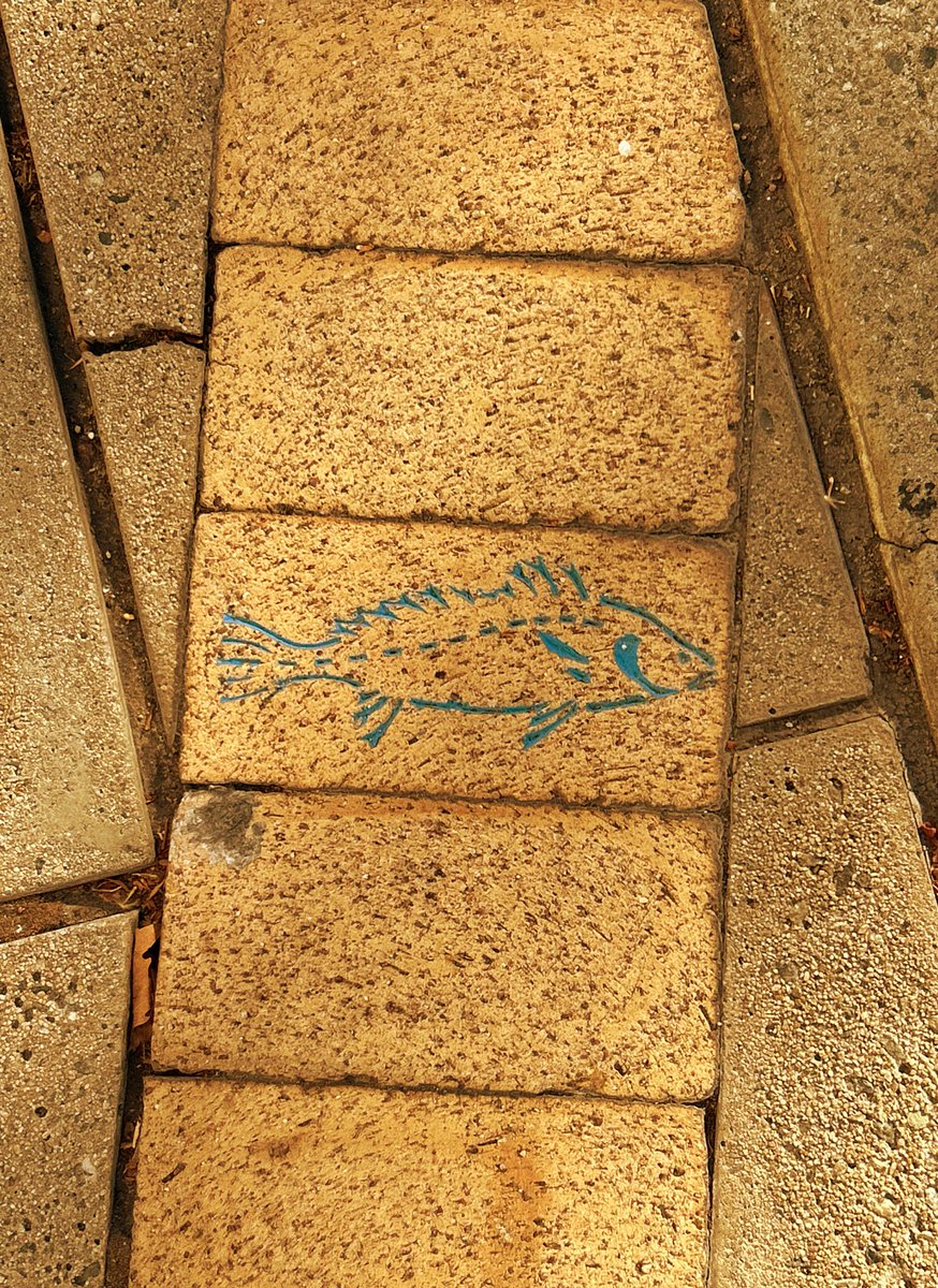mikaspond's tweet photo. Well hello there Mr. Fish, who on earth put you in this stone??! https://t.co/nPfFebY1br