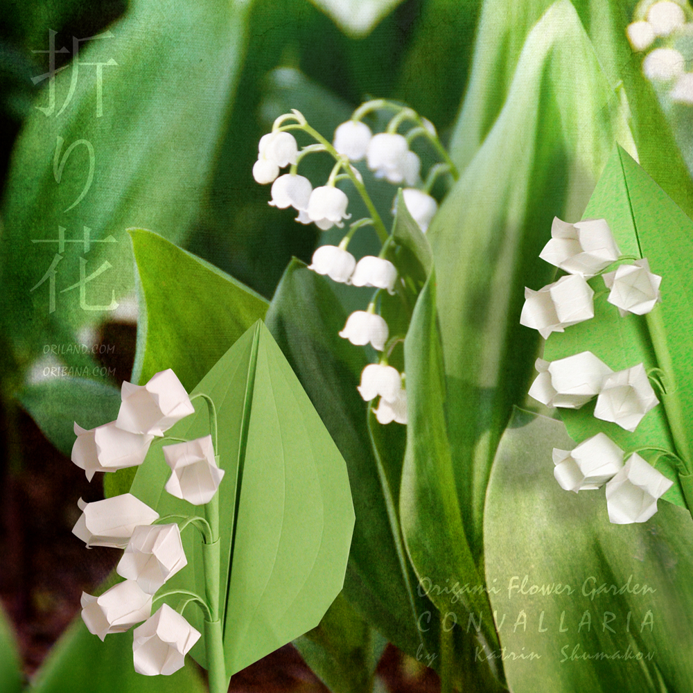 Oribana_Art's tweet photo. Lily-of-the-Valley - the real ones &amp; origami sisters 💮

Origami Flower Garden. Convallaria (Lily-of-the-Valley) designed by Katrin Shumakov (c)1998
Diagrams @ ORIBANA CHARM collection:
https://t.co/nQ9kT7B7fc

Happy folding!
🖼️to📹with AI tech https://t.co/l5S6YIb9cf