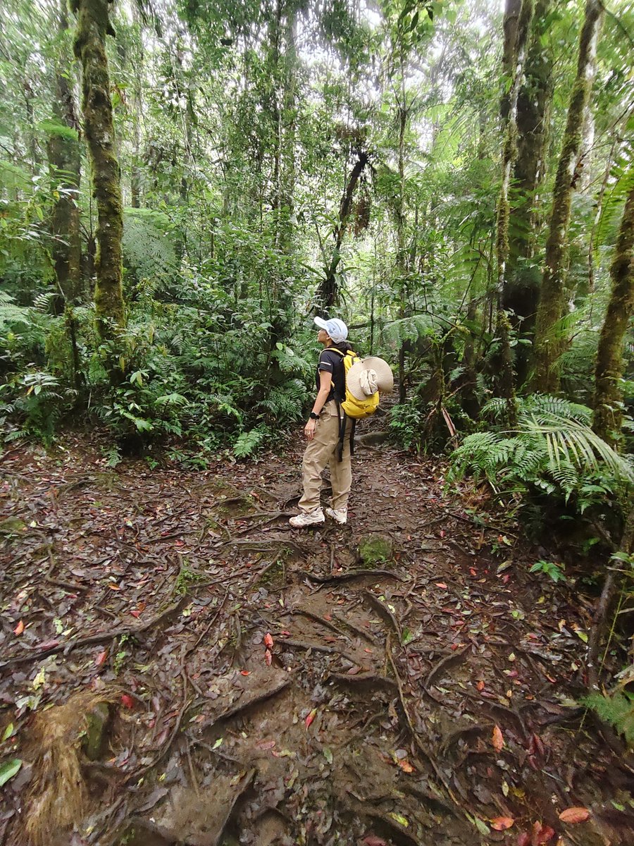 RoxyEspiritu1's tweet photo. The hiking was extremely exhausting but worth it. I conquered the highest mountain in the highest #mtapo 2,954 meters above sea level via sta. Cruz trail. The hardest trail π₯΄
.
.
.
.
#hiking
#hikingadventure
#mountain
#nature https://t.co/GO0N8eNmoM