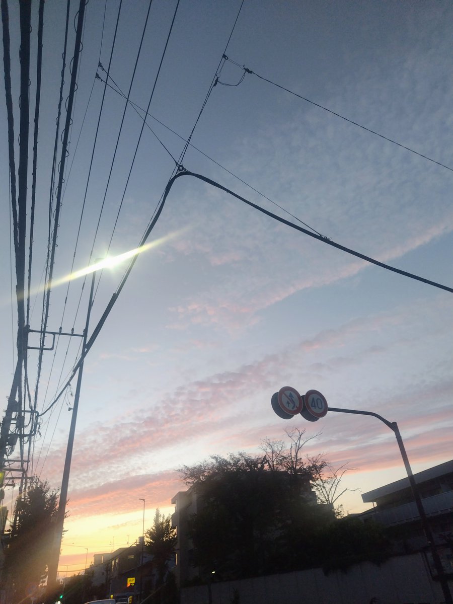 麻月 咲良 tweet media