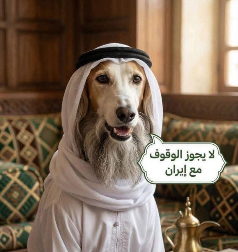 السيد علي الحسيني tweet media