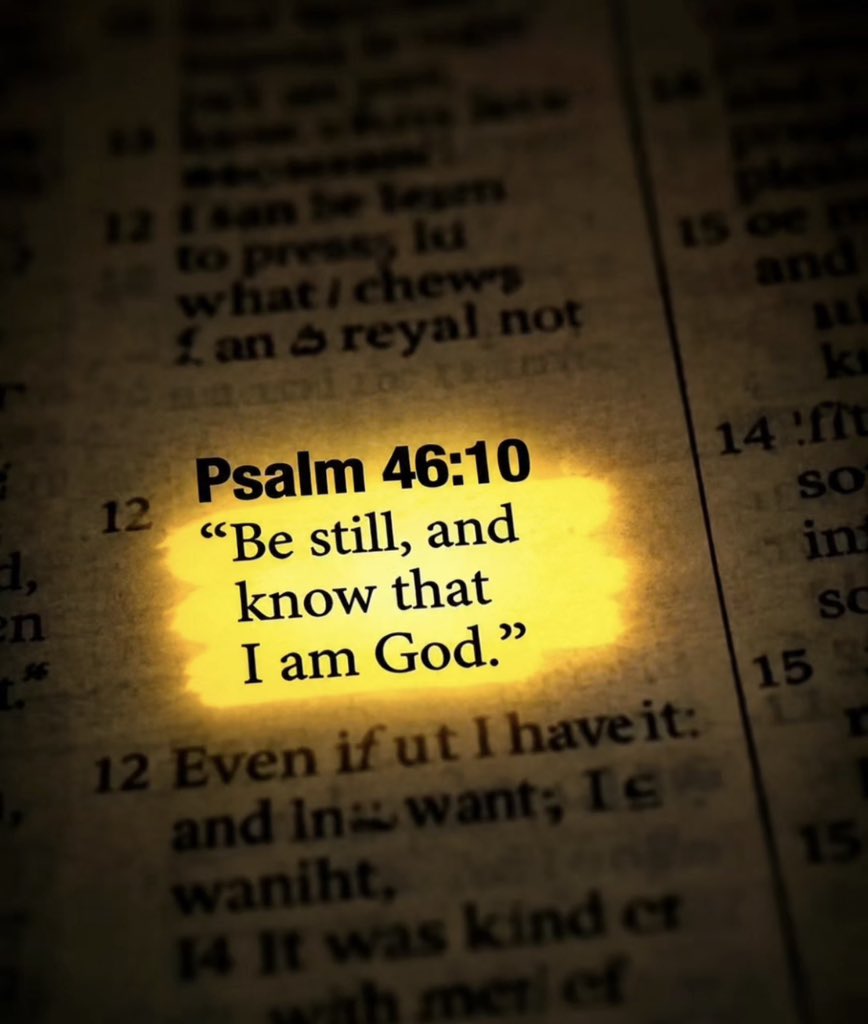 Holy Bible tweet media