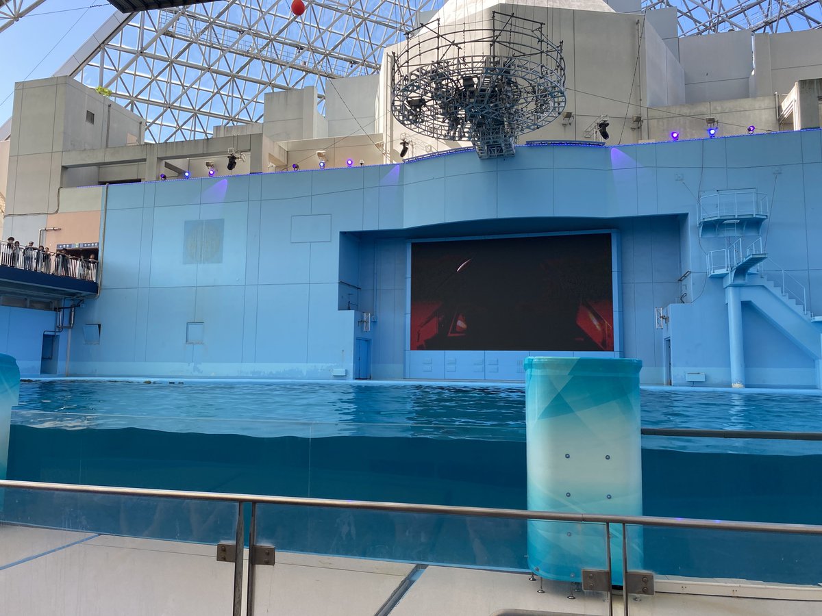 t_meo_'s tweet photo. 水族館でイルカショー待機 https://t.co/QmSadSba2h