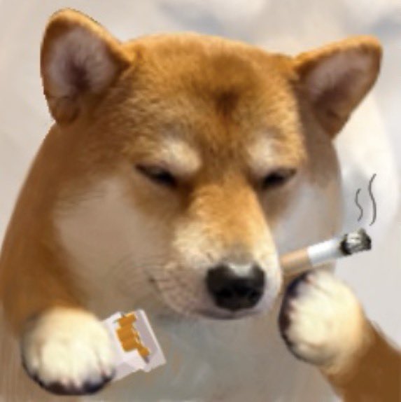猴子不上班 tweet media