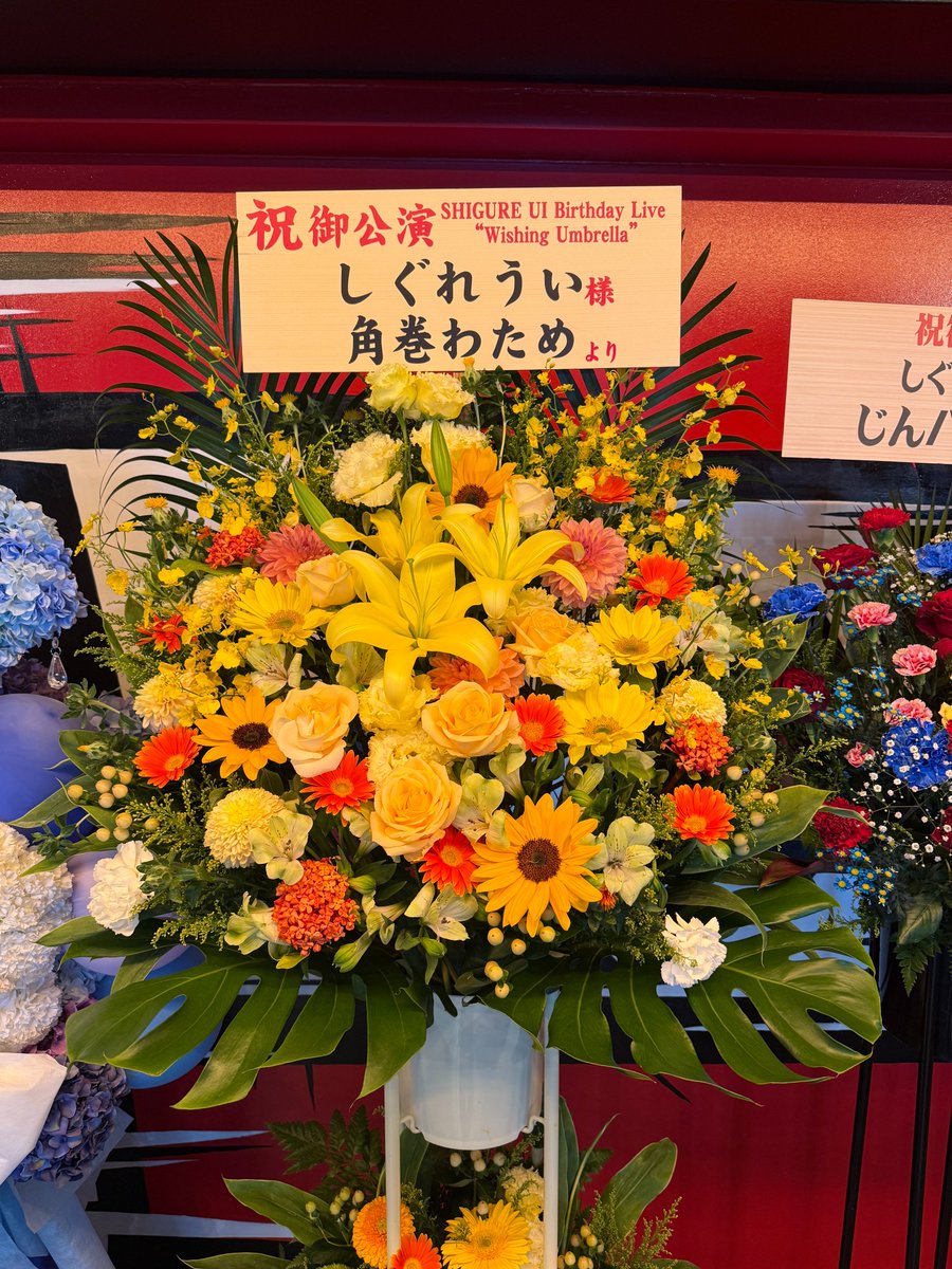 しぐれうい公式info tweet media