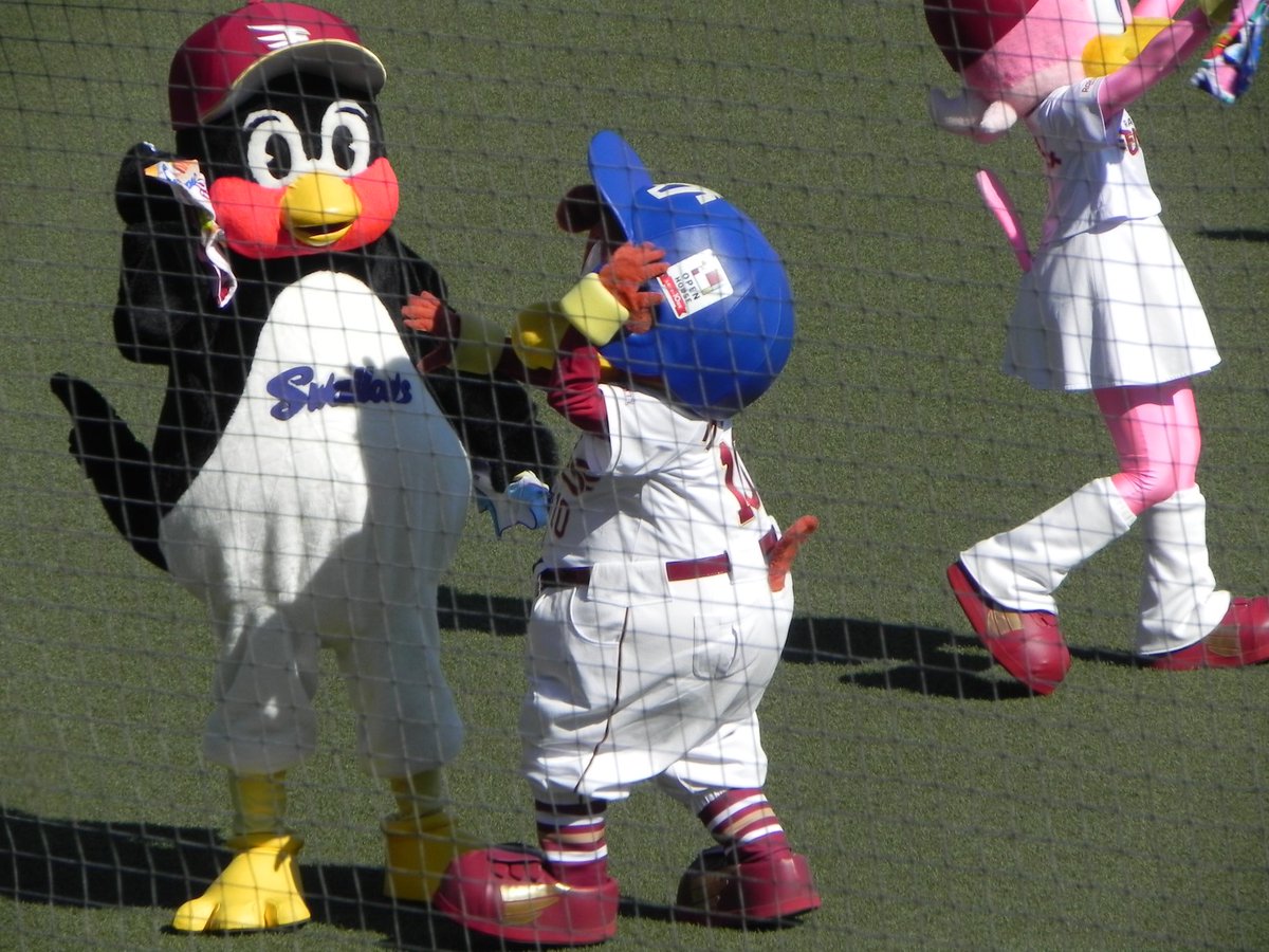 ちゃわん tweet media