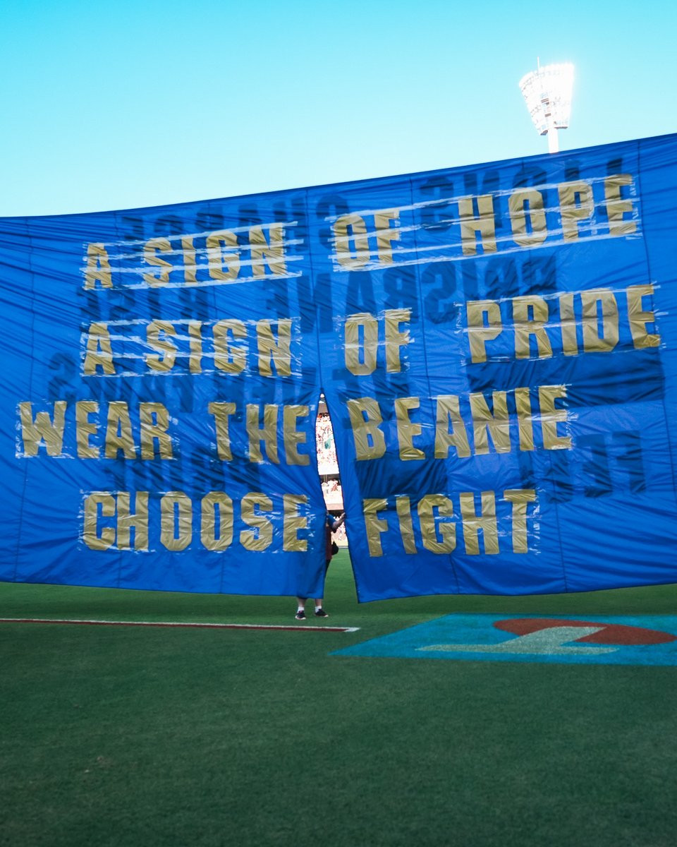 Brisbane Lions tweet media
