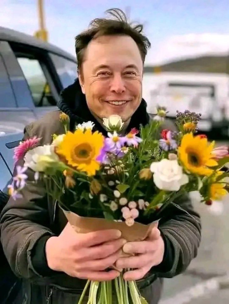 Everything About Elon tweet media