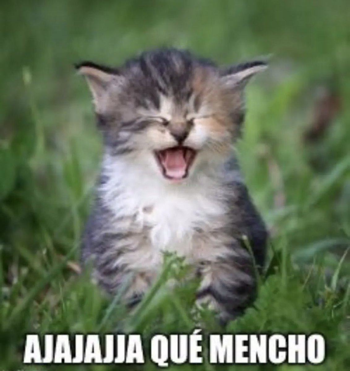 ཿ tweet media