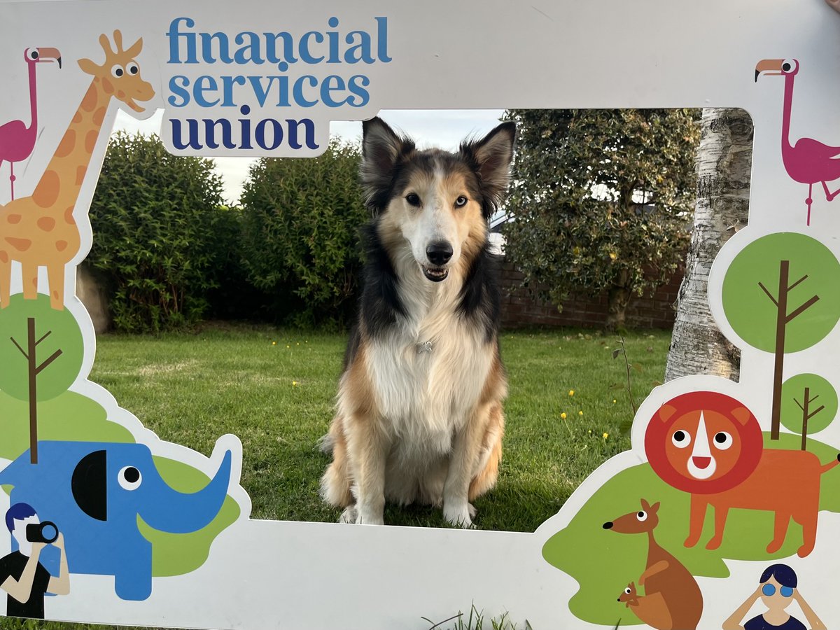 John_Burns1's tweet photo. Rain or shine, @FSUIreland members will enjoy our family event at Belfast Zoo today. See you there! #joinFSU https://t.co/WSO5q35ya6