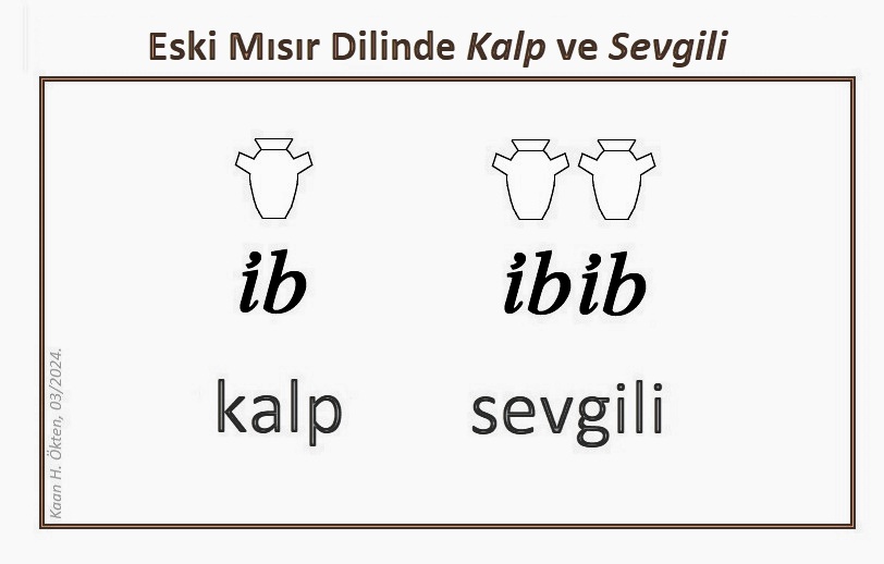 Kaan_H_Okten's tweet photo. Şu güzelliğe bakar mısınız:
Eski Mısır dilinde "ỉb" (iyb) sözcüğü "kalp" demekti ve kalp şeklinde küçük bir kap ile yazılıyordu. Öte yandan "ỉbỉb" (iybiyb) sözcüğü ise "sevgili/habib" demekti ve kalp şeklinde iki küçük bitişik kap ile yazılıyordu: https://t.co/FAWAtRQuzB