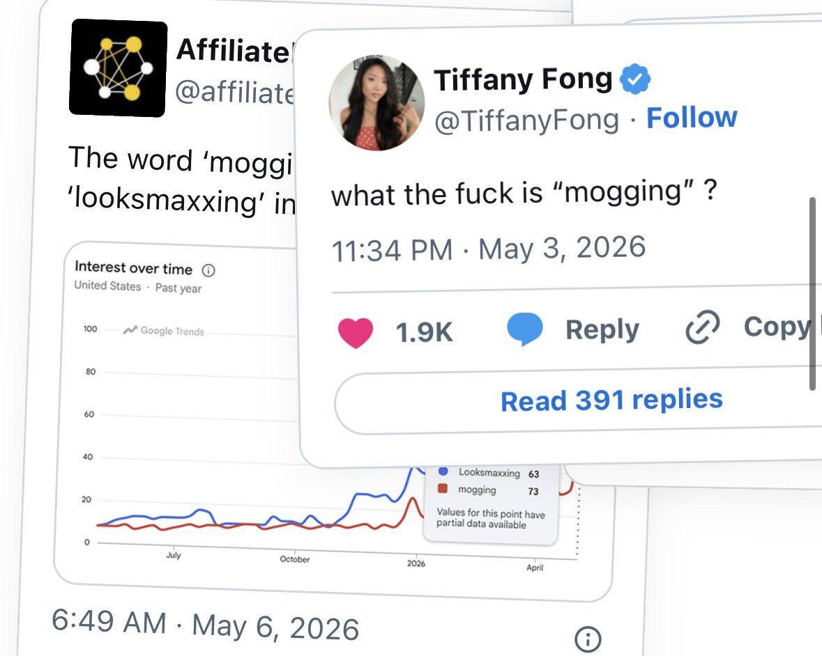 $mogging is massive Photos from the $mogging website of some of the ...