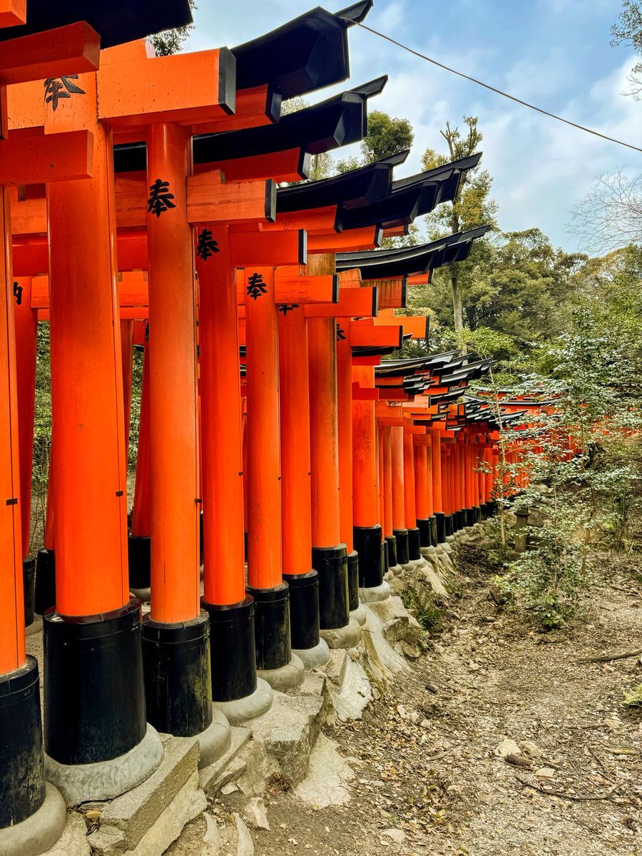 Japón Entre Amigos tweet media