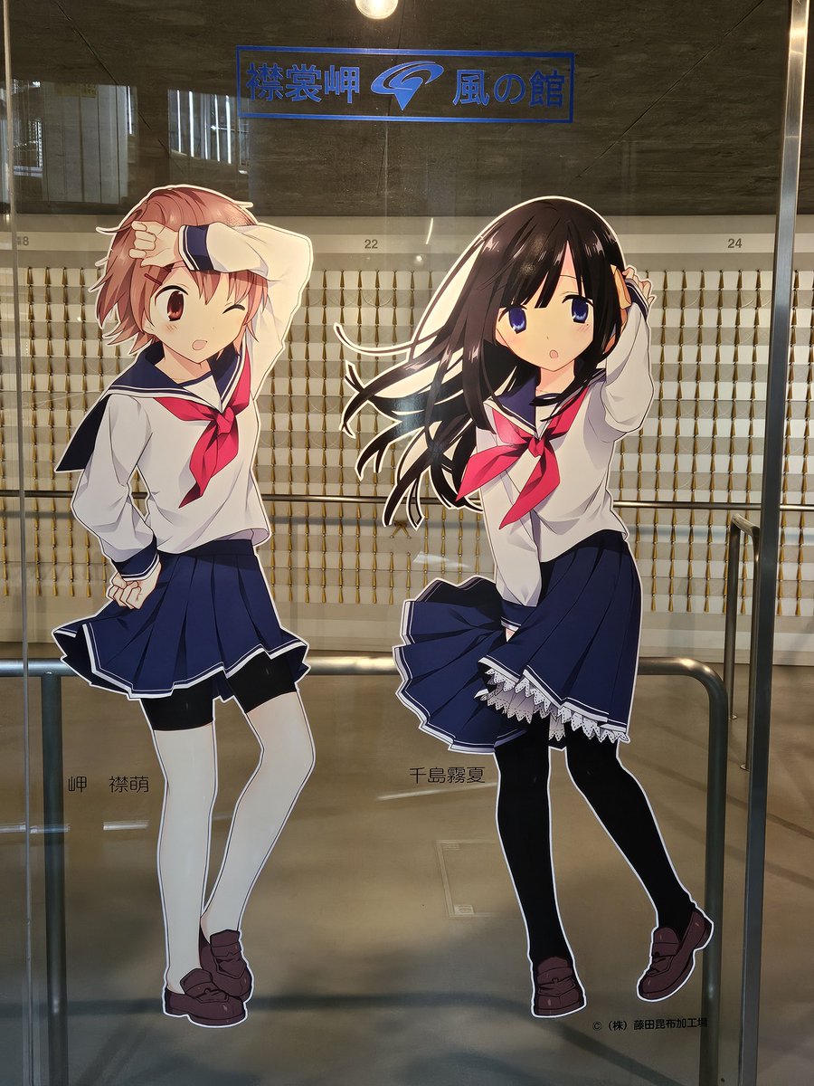 takebou68k's tweet photo. えりも岬。風が強すぎて飛んでいきそう。。。 https://t.co/RjkuEyrI7z