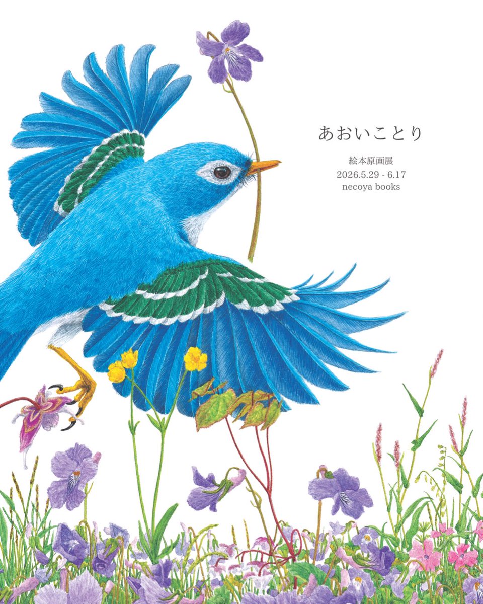 5/29より、necoya booksさんで、『あおいことり』（作たてのひろし 絵