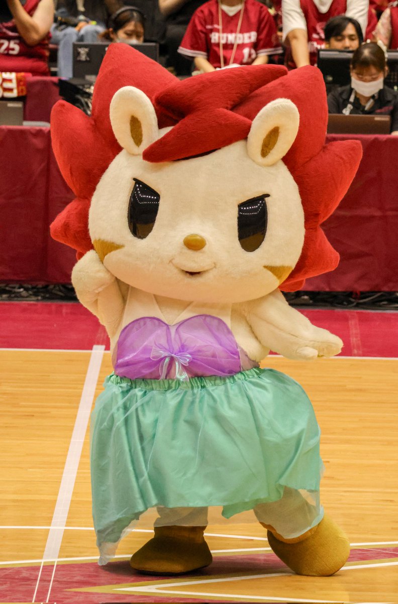 ははちゃん🏀⚡🐱 tweet media