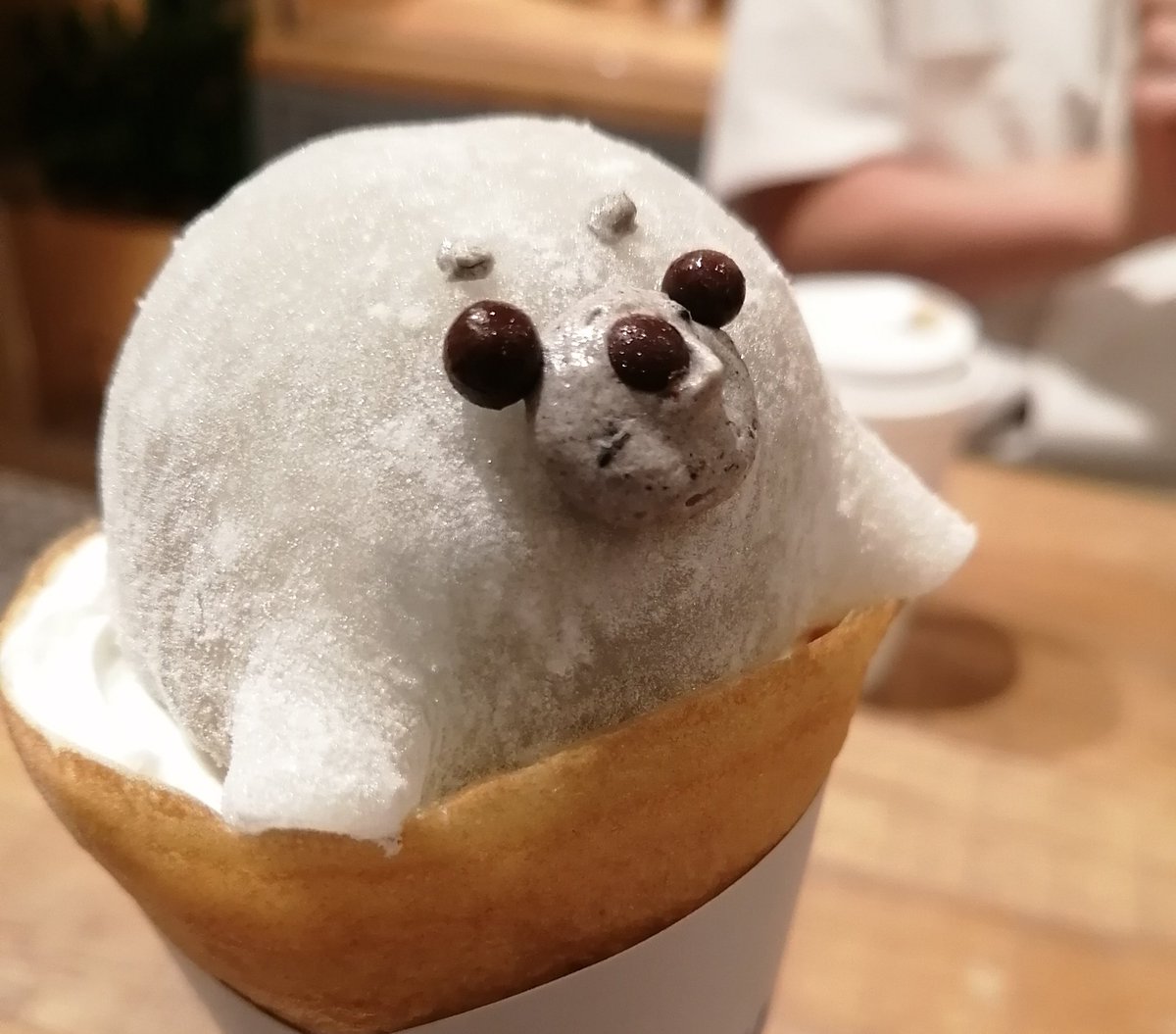 🦭あざらしぐらし(さかもとすみよ) tweet media