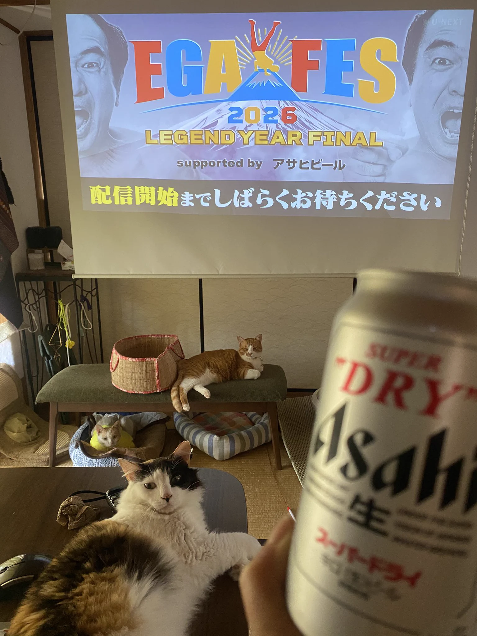 エガちゃんねる EGA-CHANNEL 【江頭2:50】 on X: 