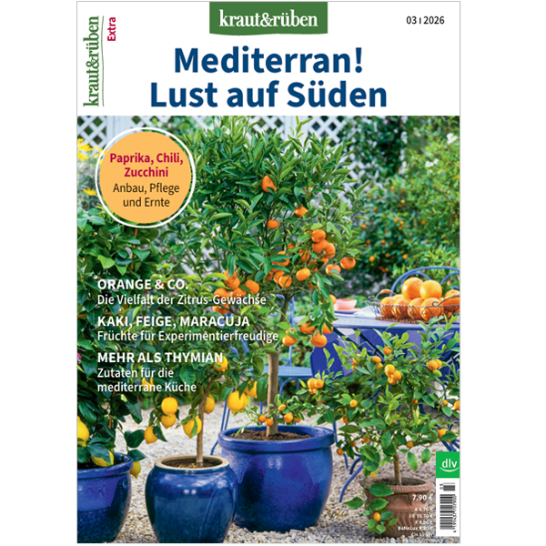 MedienPR's tweet photo. Laue Abende, aromatische Kräuter und sonnenwarme Früchte:  Das Gartenmagazin „kraut&amp;rüben“ zeigt im neuen Sonderheft „Mediterran! Lust auf Süden“, wie mediterrane Pflanzen auch hierzulande erfolgreich wachsen. https://t.co/CvDRg05aCe
