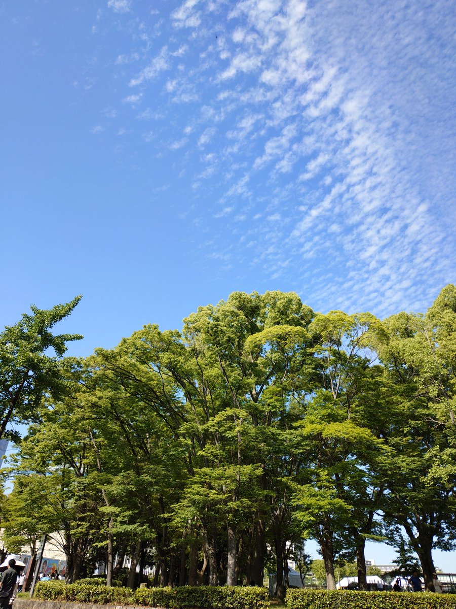 manabioutputda's tweet photo. まさに Saturday in thepark。
 待ちに待ったミスチルLive at 大阪城ホールです✨。

あと一時間ちょいで開演です。ワクワクが止まりません😆。楽しみです!

#Saturdayinthepark 
#Mrchildren https://t.co/otHaaFfJyN