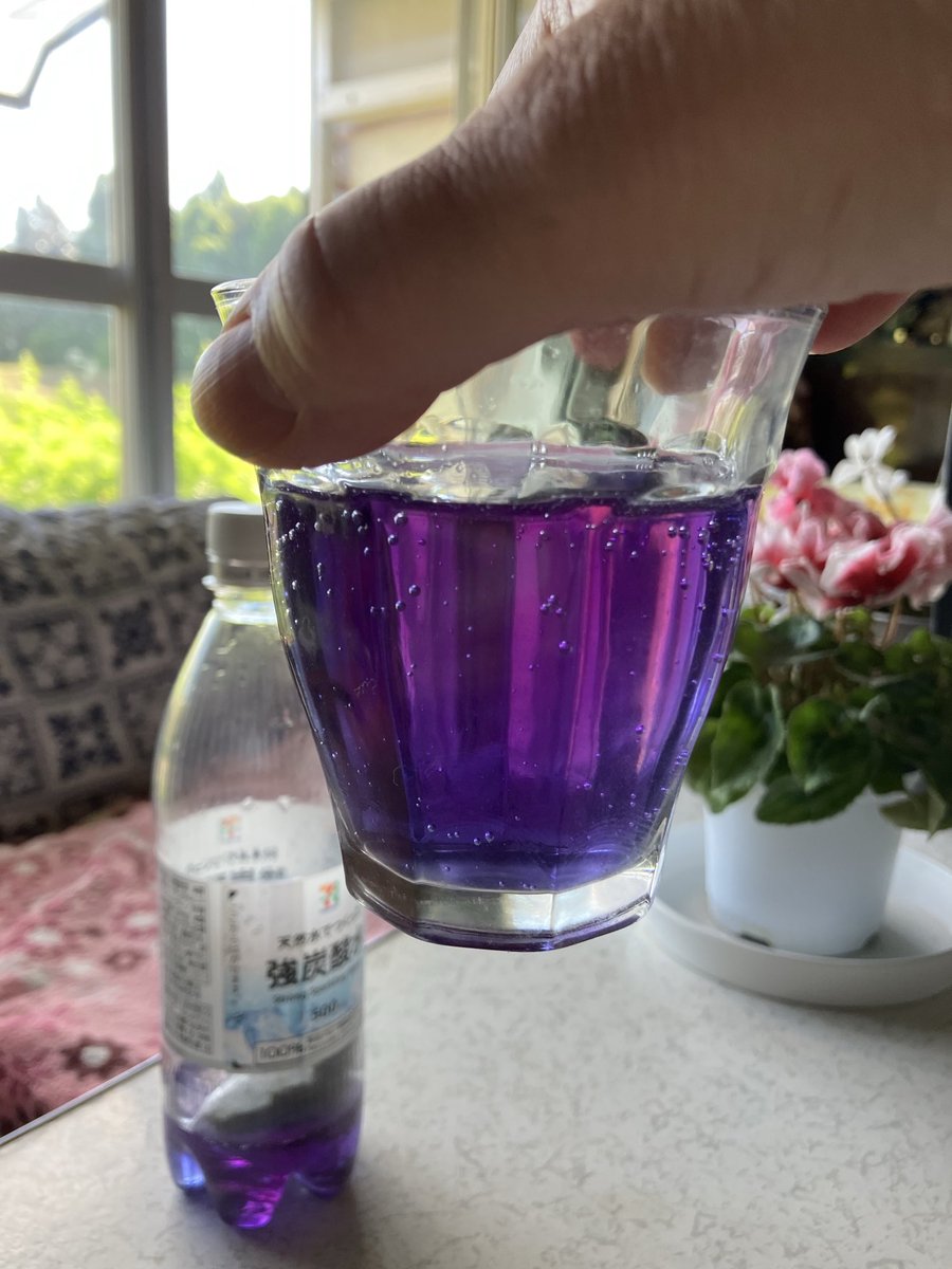 allisrightwith's tweet photo. 炭酸ボトルにバタフライピーのハーブティーバッグを入れて、炭酸ハーブティーを作成✨綺麗な紫になりました。子どもがいたら喜びそう🤩 https://t.co/xiy0wpUgWC