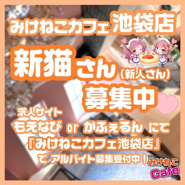 メイド喫茶みけねこカフェ《公式》 tweet media
