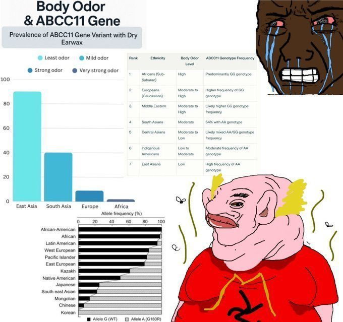 GUTS tweet media