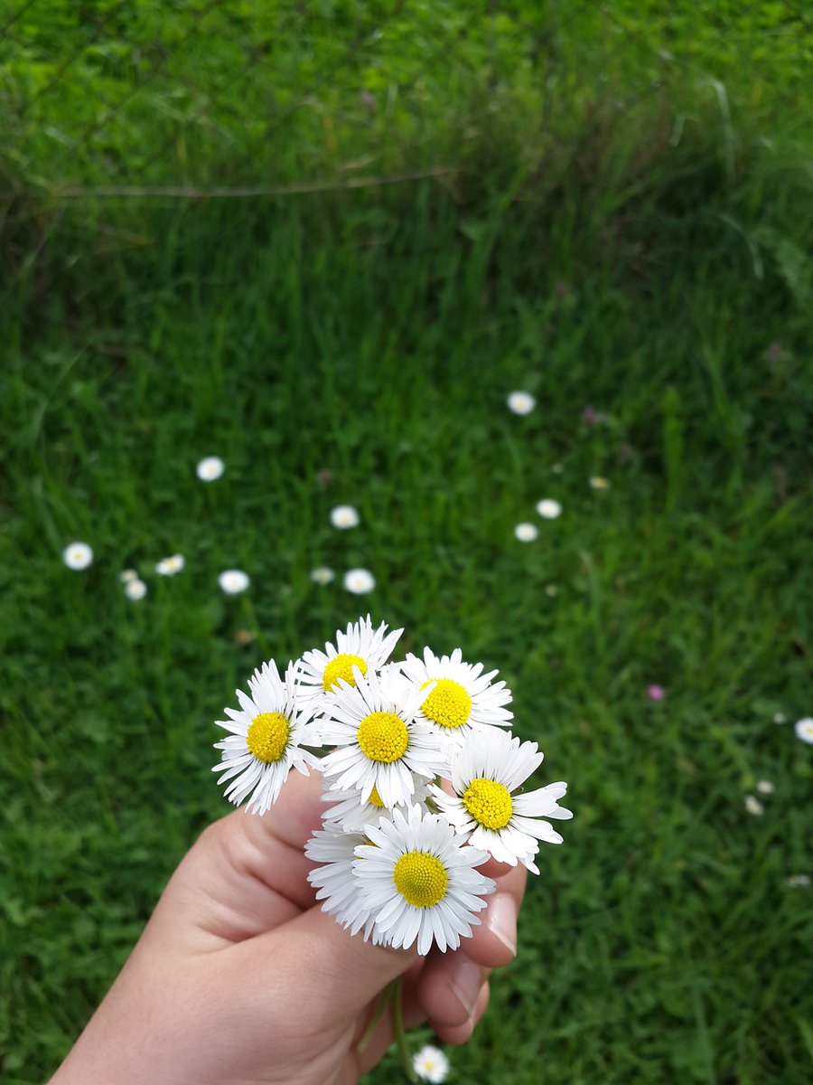 Ke213457's tweet photo. Bazı duygular ancak anılarda yeşerir. 🌷

Herkese mutlu Cumartesiler! https://t.co/t5L1De9sOR