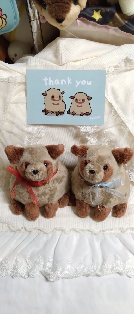 yzk_Date9216's tweet photo. たれみみちゃんが来てくれました！
本当に本当に可愛くてふわふわで最高……( ;ᯅ; )✧︎*。 https://t.co/U72betbIeV
