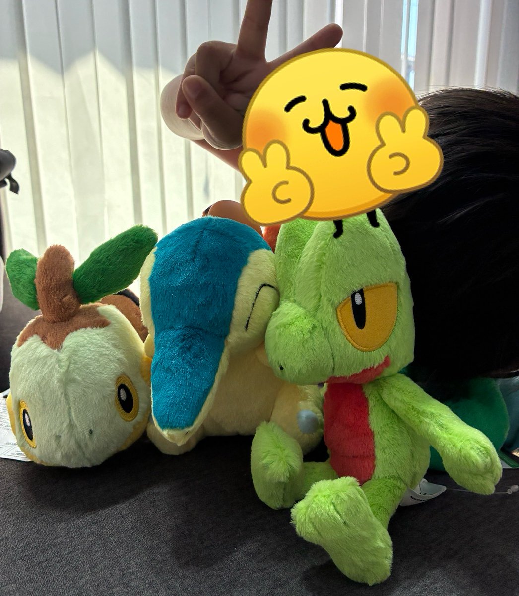 styk415's tweet photo. 息子、大優勝すぎる一番くじ🤣👏
3回中2個ぬいぐるみ！
追加してまたぬいぐるみ！！
またまた追加でぬいぐるみw
ポッチャマ選んで欲しかったのにナエトル愛に負けた母でした……😇🫶🏻🌱͛

#ポケモン一番くじ
#30周年 https://t.co/n1zI5BSkb8