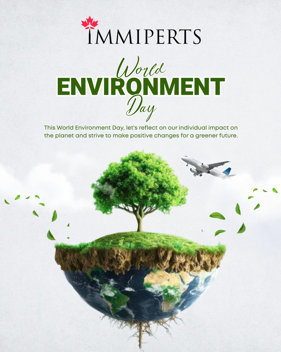 immiperts_ca's tweet photo. World Environment Day 🌍 

Every step toward a greener future matters. 

As we help people build new beginnings across borders, let’s also commit to creating a world that future generations can proudly call home.

#WorldEnvironmentDay #Immiperts #GreenerFuture https://t.co/NznFe84LUW